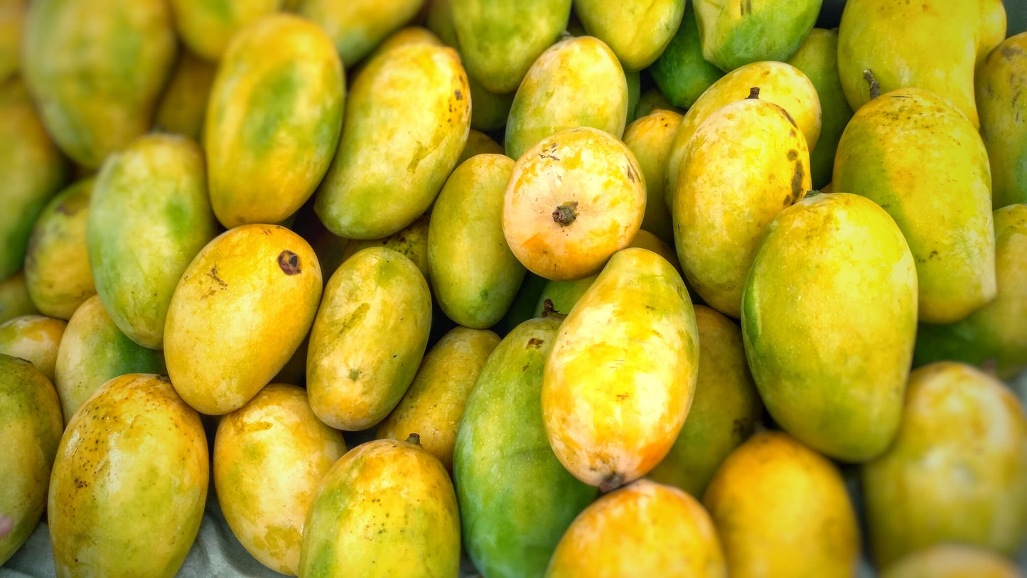 Sonero Mangoes – Pure Pakistani Sweetness 6KG Box