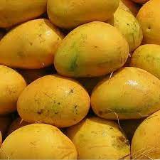 Baingan Phali Mango – Unique & Flavorful - 6KG BOX
