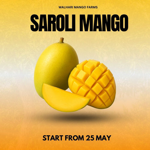 Imported Saroli Mango – Premium Variety (Fresh & Juicy) - 6KG Box