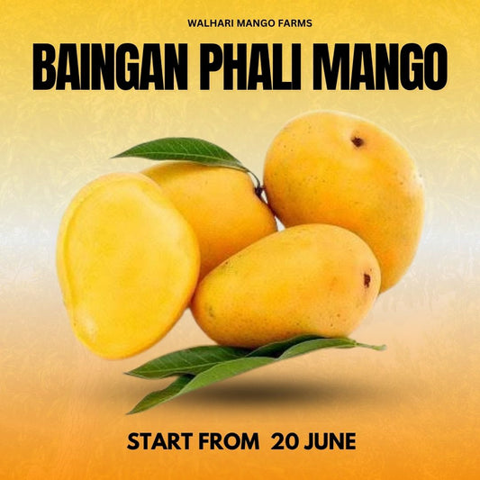 Baingan Phali Mango – Unique & Flavorful - 6KG BOX