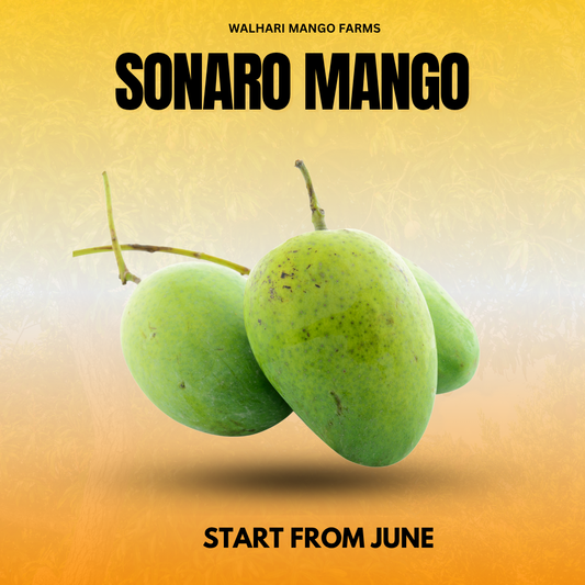 Sonero Mangoes – Pure Pakistani Sweetness 6KG Box