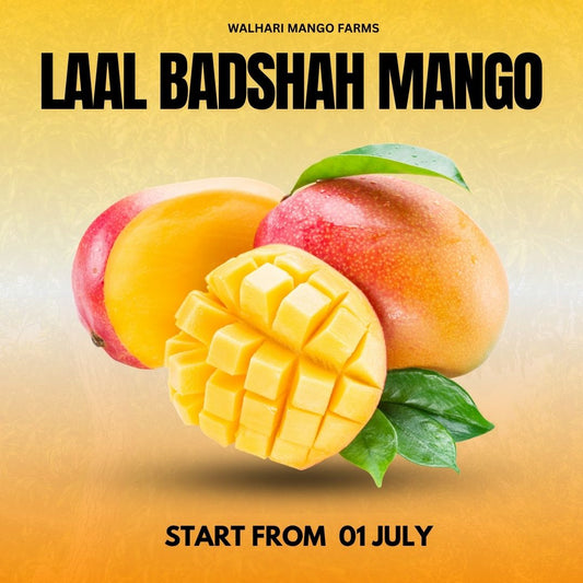 Laal Badshah – Royal Pakistani Mango -6KG BOX