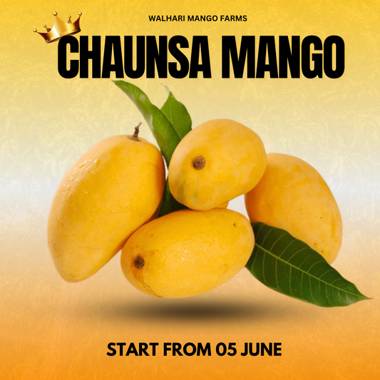Premium King Chaunsa Mangoes - 6KG Box