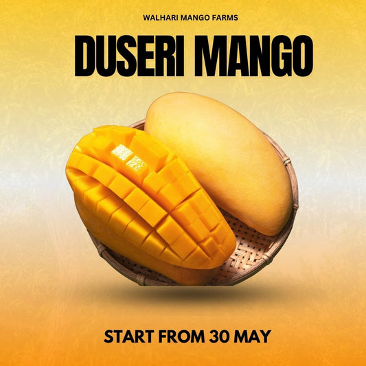 Dusseri Mango – Premium Quality - 6KG Box