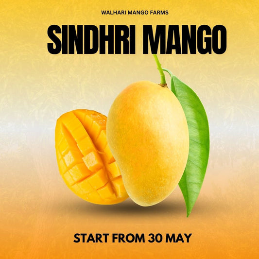 Fresh Sindhri Mango – Handpicked from Sindh - 6KG Box