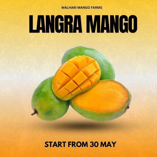 Premium Langra Mango – Iconic Pakistani Taste - 6KG Box