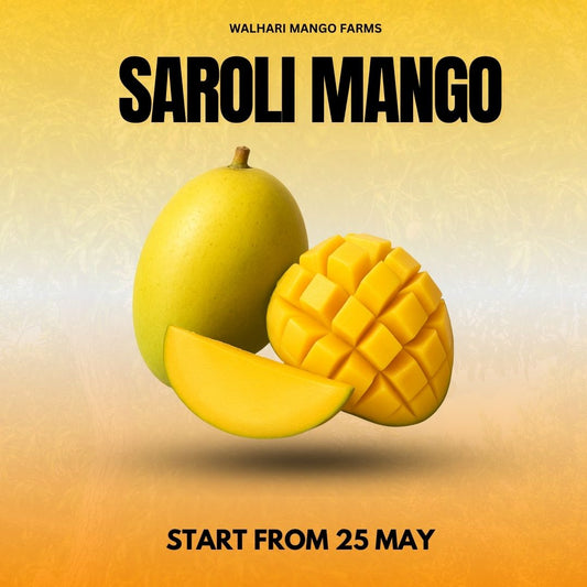 Imported Saroli Mango – Premium Variety (Fresh & Juicy) - 6KG Box